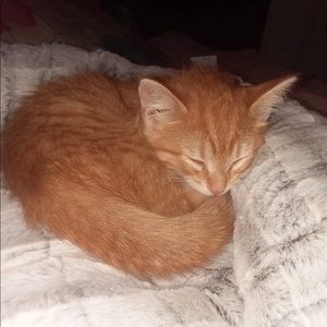 Meet your Posher, Olivia